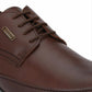 Silvano Espresso Wingtip Lace-Ups